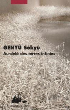 Au-delà des terres infinies - couverture livre occasion