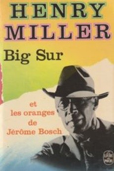 Big Sur - couverture livre occasion