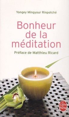Bonheur de la méditation - couverture livre occasion