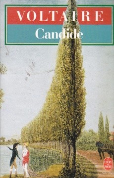 Candide ou l'optimisme - couverture livre occasion