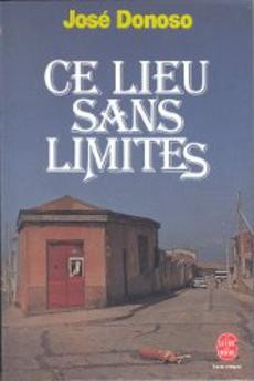 Ce lieu sans limites - couverture livre occasion