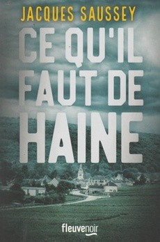 Ce qu'il faut de haine - couverture livre occasion