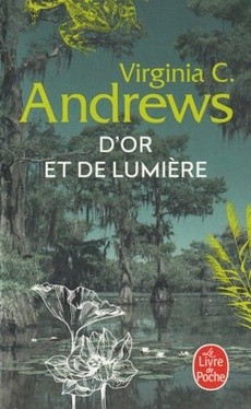 D'or et de lumière - couverture livre occasion