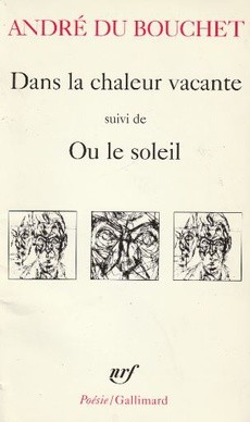 Dans la chaleur vacante - couverture livre occasion