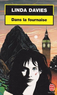 Dans la fournaise - couverture livre occasion