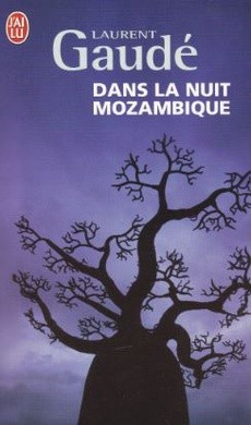 Dans la nuit mozambique - couverture livre occasion