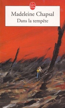 Dans la tempête - couverture livre occasion