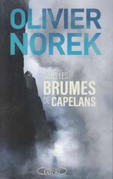 Dans les brumes de Capelans - couverture livre occasion