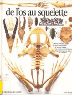 De l'os au squelette - couverture livre occasion