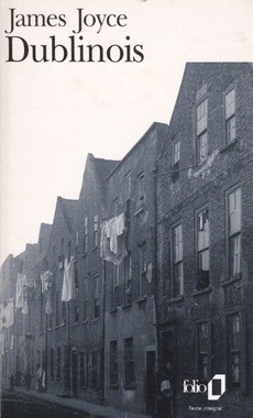 Dublinois - couverture livre occasion