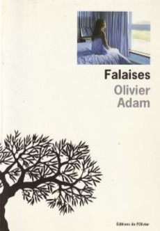 Falaises - couverture livre occasion