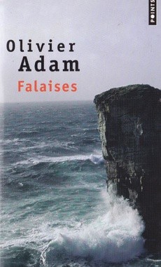 Falaises - couverture livre occasion