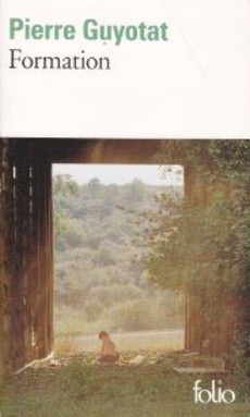 Formation - couverture livre occasion