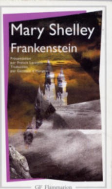 couverture de 'Frankenstein' - couverture livre occasion