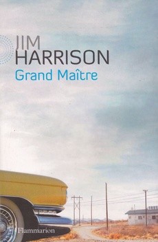Grand Maître - couverture livre occasion