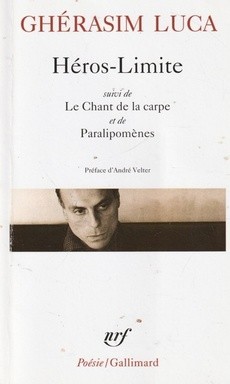 Héros-Limite - couverture livre occasion