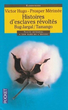 Histoire d'esclaves révoltés - couverture livre occasion
