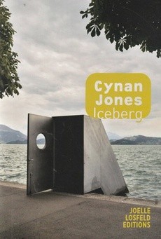 Iceberg - couverture livre occasion