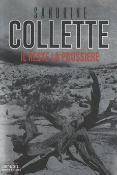Il reste la poussière - couverture livre occasion