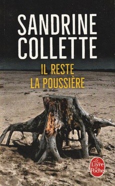 Il reste la poussière - couverture livre occasion