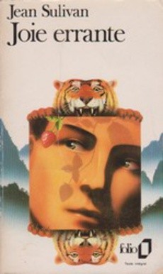 Joie errante - couverture livre occasion