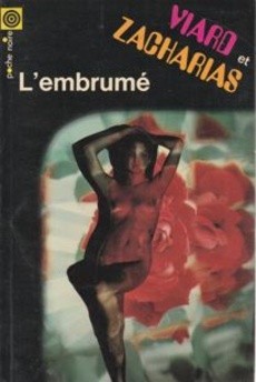 L'embrumé - couverture livre occasion