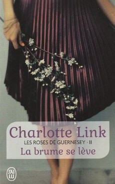 La brume se lève - couverture livre occasion