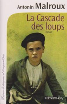 La cascade des loups - couverture livre occasion