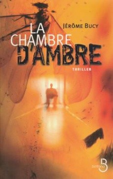La chambre d'ambre - couverture livre occasion