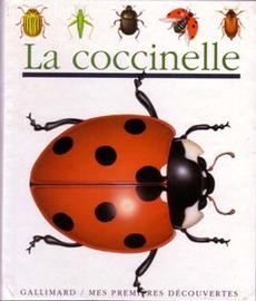 La coccinelle - couverture livre occasion
