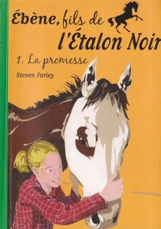 La promesse - couverture livre occasion