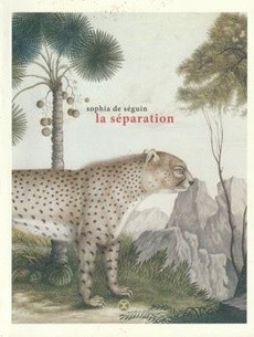 La séparation - couverture livre occasion