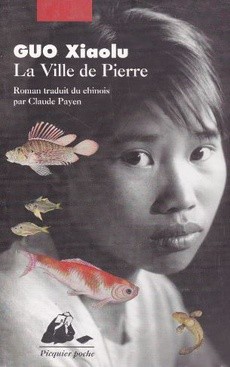 La Ville de Pierre - couverture livre occasion