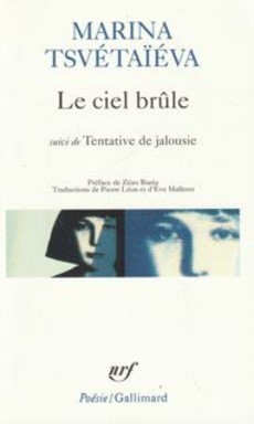 Le ciel brûle - couverture livre occasion