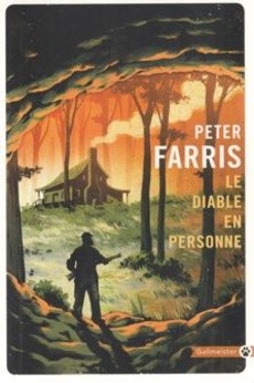 Le diable en personne - couverture livre occasion