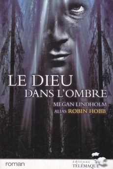 Le Dieu dans l'ombre - couverture livre occasion