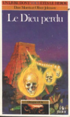Le Dieu Perdu - couverture livre occasion