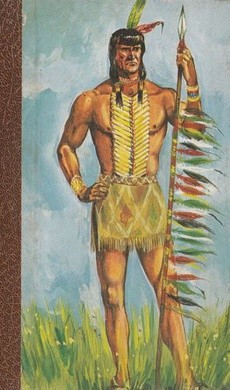 Le Fils du Soleil - couverture livre occasion