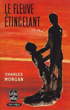 Le fleuve étincelant - couverture livre occasion