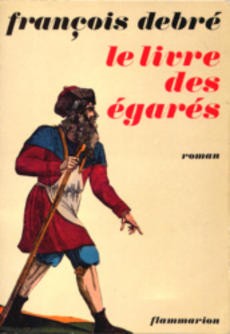 Le livre des égarés - couverture livre occasion