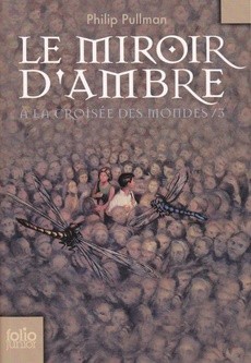 Le miroir d'Ambre - couverture livre occasion