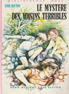 Le mystère des voisins terribles - couverture livre occasion