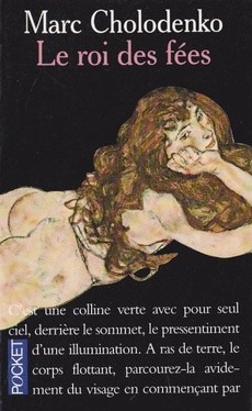 Le roi des fées - couverture livre occasion