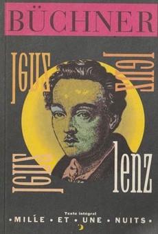 Lenz - couverture livre occasion