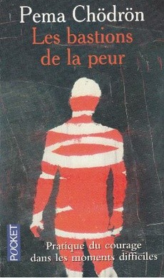 Les bastions de la peur - couverture livre occasion