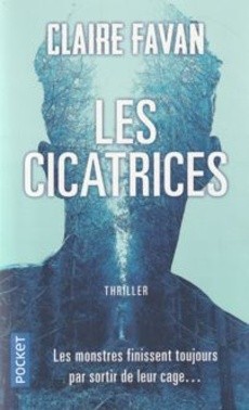 Les cicatrices - couverture livre occasion