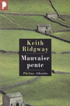 Mauvaise pente - couverture livre occasion