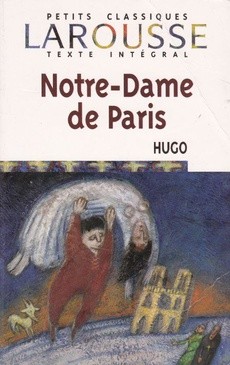 Notre-Dame de Paris - couverture livre occasion