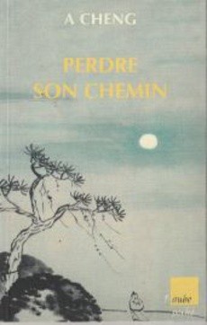 Perdre son chemin - couverture livre occasion