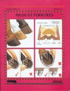 Pieds et ferrures - couverture livre occasion